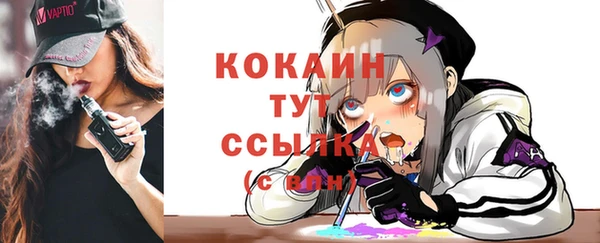 гидра Ладушкин