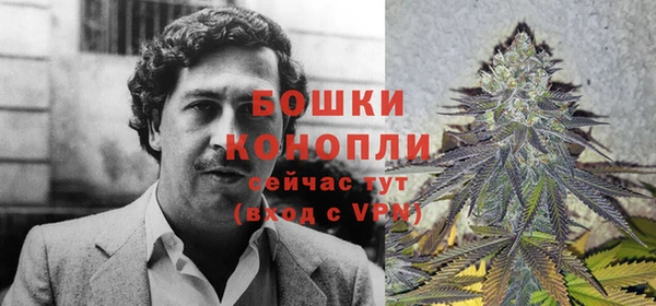 гидра Ладушкин